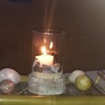 11223642_487861554726498_646854098665974516_n