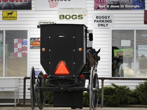 amish buggy