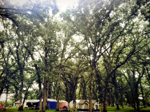 Sacred Harvest Festival Brush Oak Grove