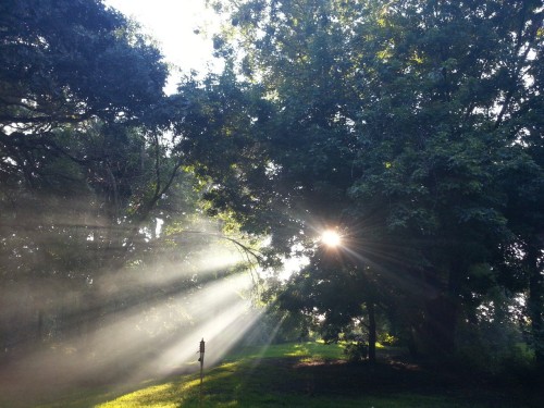 Ritual Space at Sacred Harvest Festival. Photo by Mike Bardon.