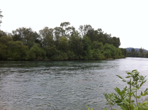 North bank of the Willamette river.