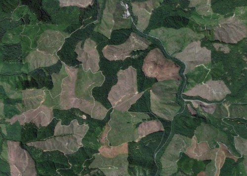 Clearcuts on O&C lands outside of Oakridge, Oregon