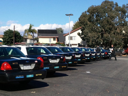 LAPD Police Cars [Photo Credit: Flickr's 888BailBond]