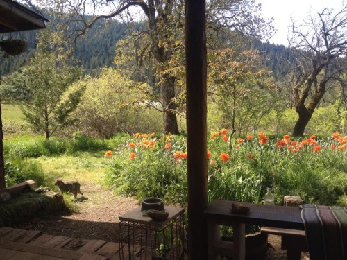 Radical Faerie Sanctuary, Wolf Creek, Oregon (photo by Yavi Luminous)