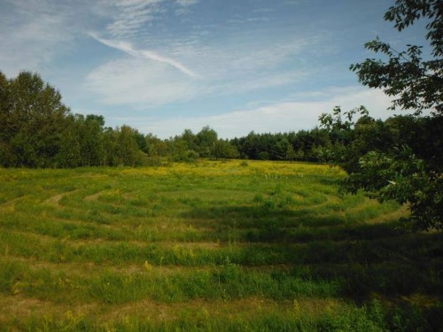 The Labyrinth field at Wic-Can Fest and an Ontario summer sky." [Photo Credit: Alex Del Busso]