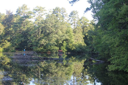 Heron  Pond at Chattahoochee Nature Center [Photo by: AmberMoon]