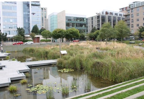 The wonderful marshiness of Tanner Springs Park. Photo by Alley Valkyrie.