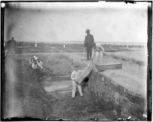 A trench at the potter's field on Hart Island, circa 1890. Photo by Jacob Riis.