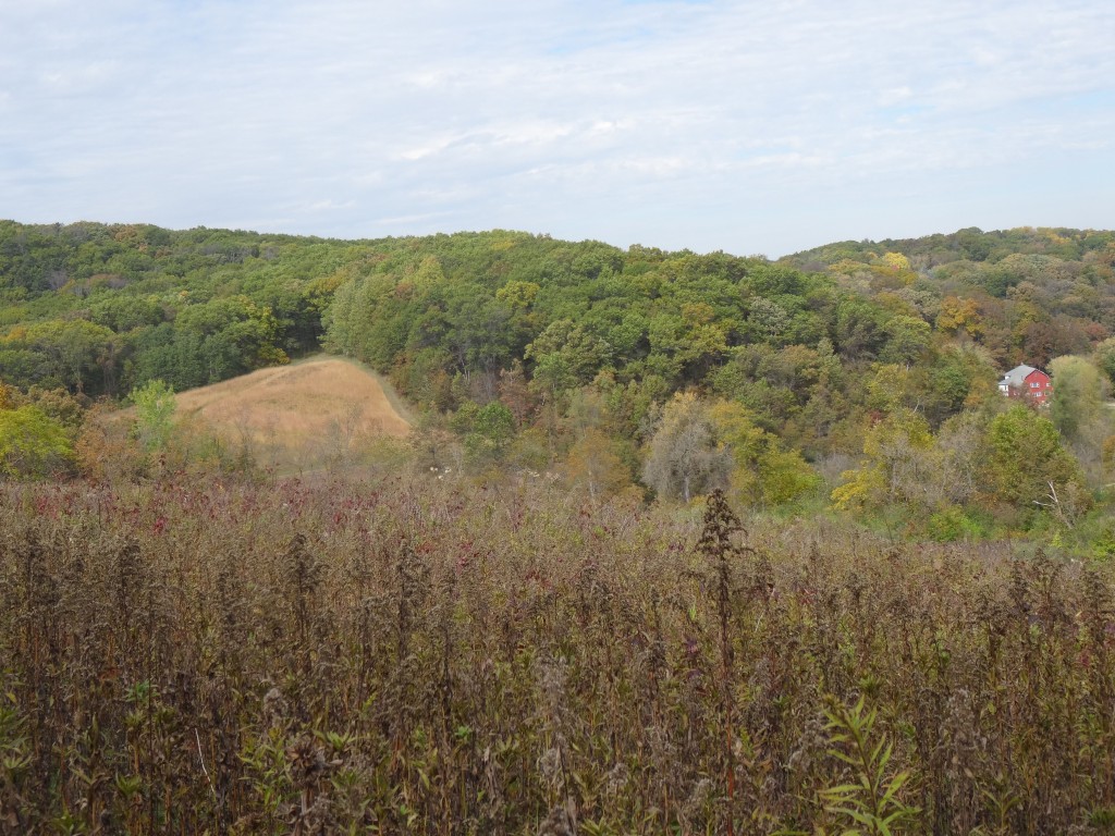 Circle Sanctuary Celebrates 40th Anniversary - News, Paganism, U.S.