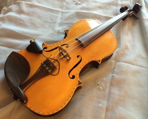 World Peace Violin [Photo  Cedit: H.Greene]