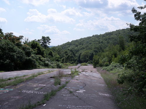 Overgrown and destroyed segment of Route 6 in Centralia. Photo by navy2004.