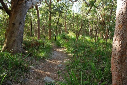 Bushland National Park [Photo Credit: Proimos / Flicr CC. Lic]