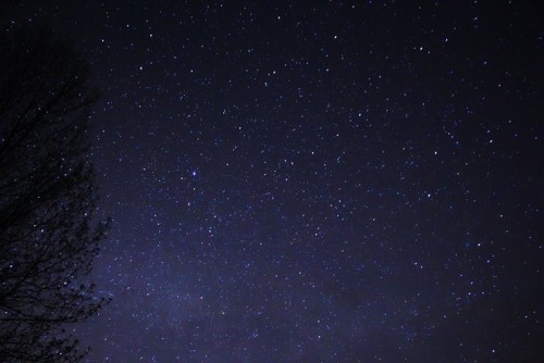 Night sky. Photo by Michael J. Bennett