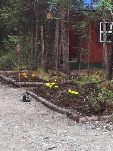 Cabins at the community center and retreat 2 weeks prior to the fire. [courtesy photo]