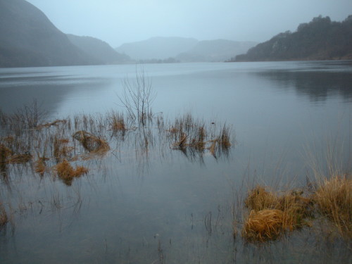 Llyn Dinas, Wales (photo by the author)