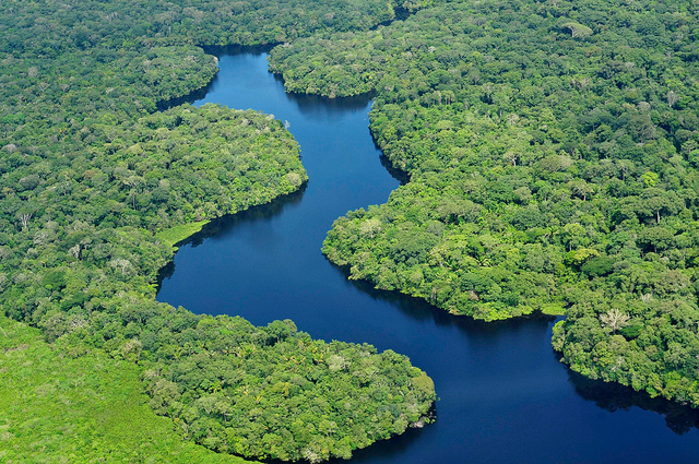 Brazil expands Amazon protection by recognizing 6 Indigenous areas