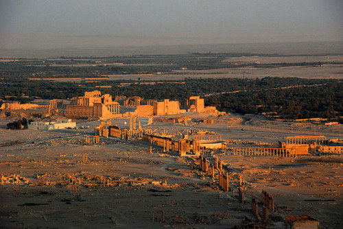 Palmyra [Photo Credit: James Gordon / Wikimedia]