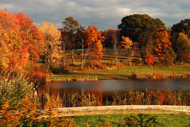 Happy Autumnal Equinox