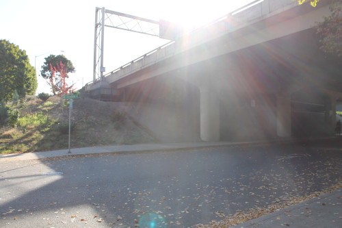 I-405 underpass, swept by police. 