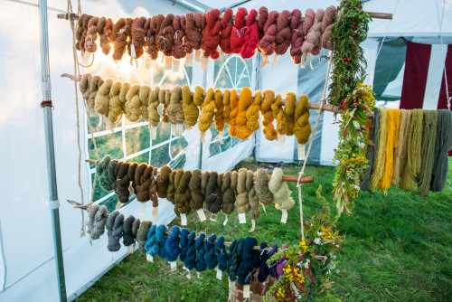 Latvian guests dyed yarn in a traditional way, using wild herbs. The festival serves as a way to share knowledge about traditional crafts.