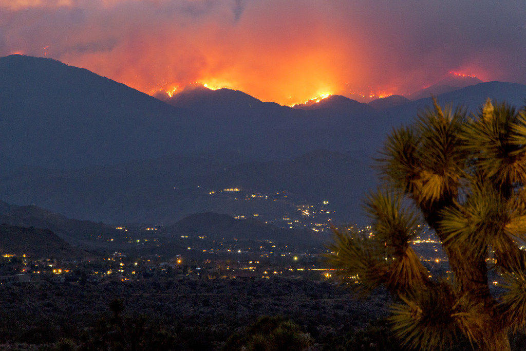 Letters to the Editor –  We Can Do Better: A Greek Priestess Reflects on Wildfires