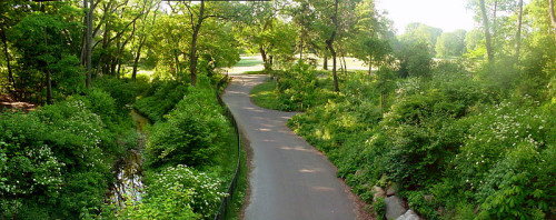 The Nethermead at Prospect Park. Photo by Garry R. Osgood