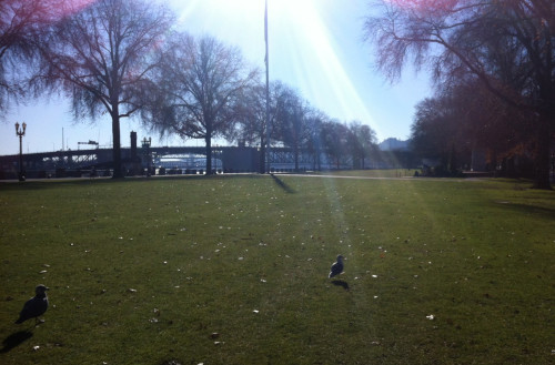 Waterfront Park in downtown Portland. Photo by Alley Valkyrie.