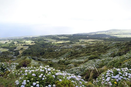 Faiai Island, Azores. Photo by Luca Nebuloni