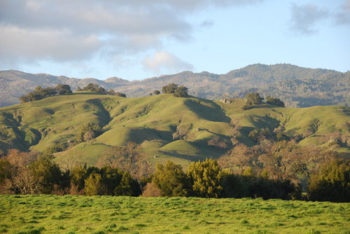 Northern California [Photo Credit: Nigelpepper / Wikimedia]