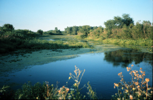 Detroit River [Photo Credit: Gary Muehlenhardt, U.S. Fish and Wildlife Service. Public domain] 