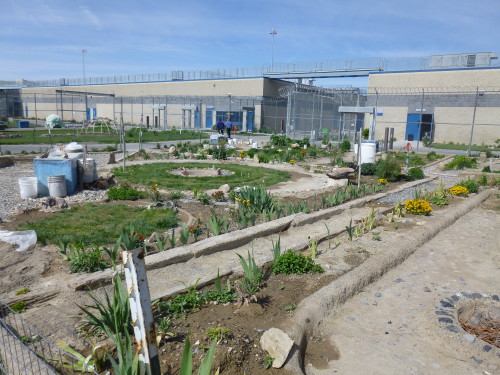 Pagan worship area at Lovelock Correctional Center [image credit: Brooke Keast]