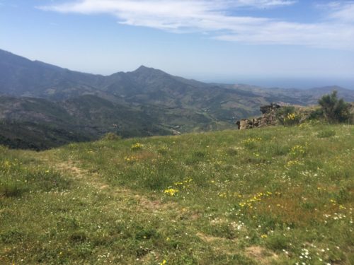 The summit near Querroig.