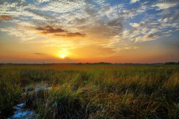 Pagans take a public stand for Florida Everglades