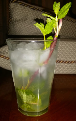 The convention mojito. [Photo Credit: M. Tejeda-Moreno]