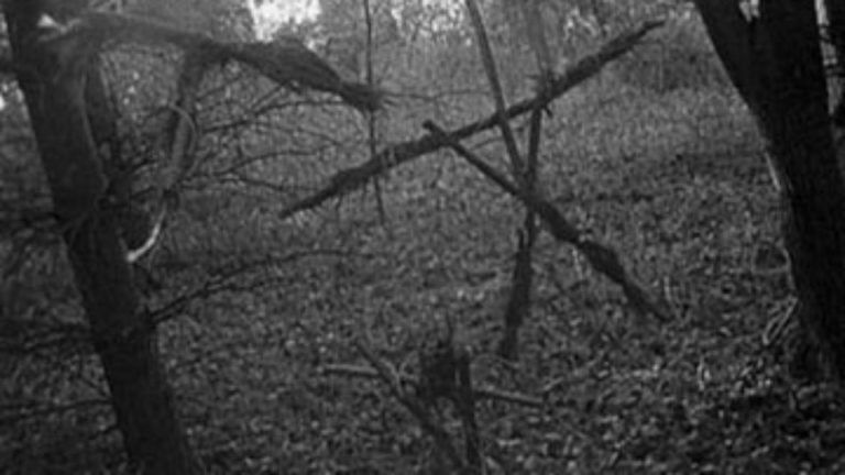 the blair witch project true story