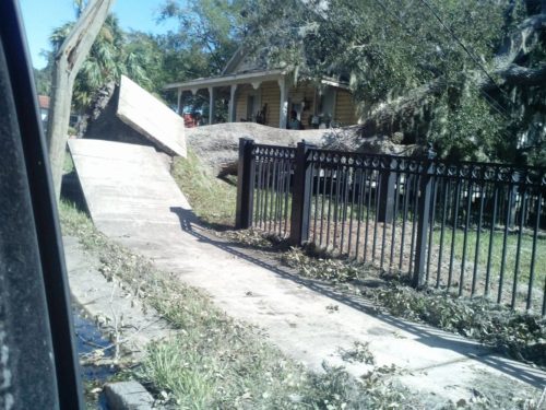 A live oak tree narrowly missed a house that belonged to a Mr. Righter in Saint Augustine, Florida. He sat by the tree and sang hymnals after the storm.