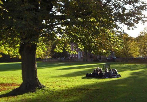 Outdoor classroom [Photo Credit: Peter / Flickr]