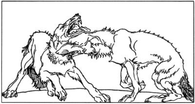 sigmundr-and-sinfjotli-wolves-werewolves-willy-pogany-padraic-colum-children-of-odin