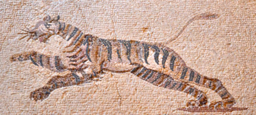 Tiger mosaic from the "House of Dionysos," a 2nd-3rd century Roman villa at Kato Paphos [Paul McCoubrie / Flickr]