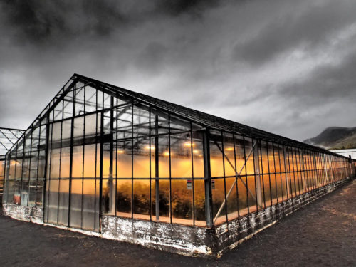 Iceland Greenhouse [Source: flickr.com]