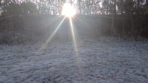 Midwinter sun on the road to the Rollright Stones. Photo by E. Scott.