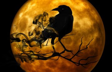 Column: Leaning Into the Lessons of Samhain