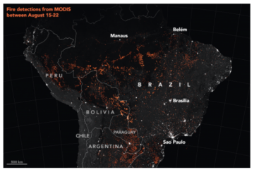 The complexity of the Amazon fires