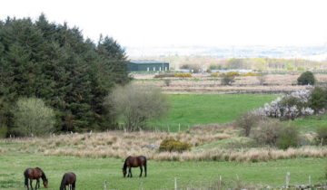 Technology and trade in Bronze Age Wales