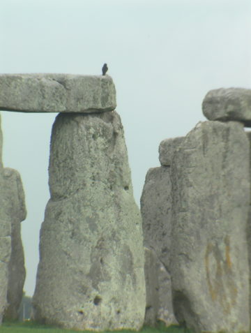 New discoveries around Stonehenge