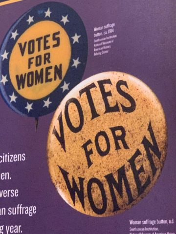 Selena Fox on the centennial of the 19th Amendment