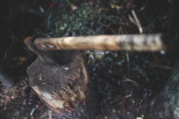 Columna: El poder de la tierra y las tradiciones en El Hachador Perdido