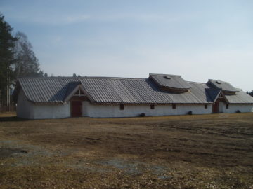 New developments in understanding Medieval Norse Culture