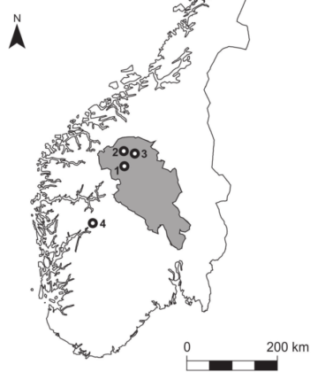 Melting Ice reveals lost Medieval Norse Mountain Pass