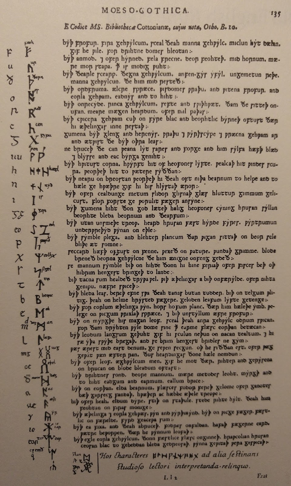 Column: Look Up to the Skies and See - Culture, Living, Paganism ...
